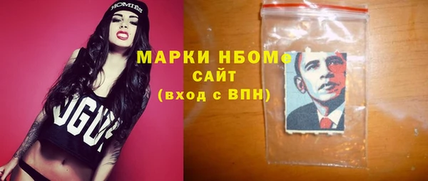 шишки Аркадак