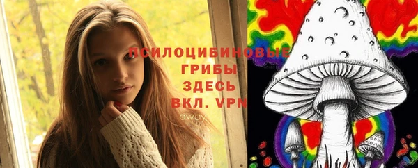 винт Армянск