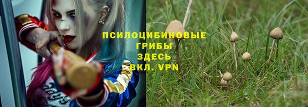 винт Армянск