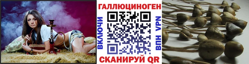 Галлюциногенные грибы Magic Shrooms  что такое   Палласовка 